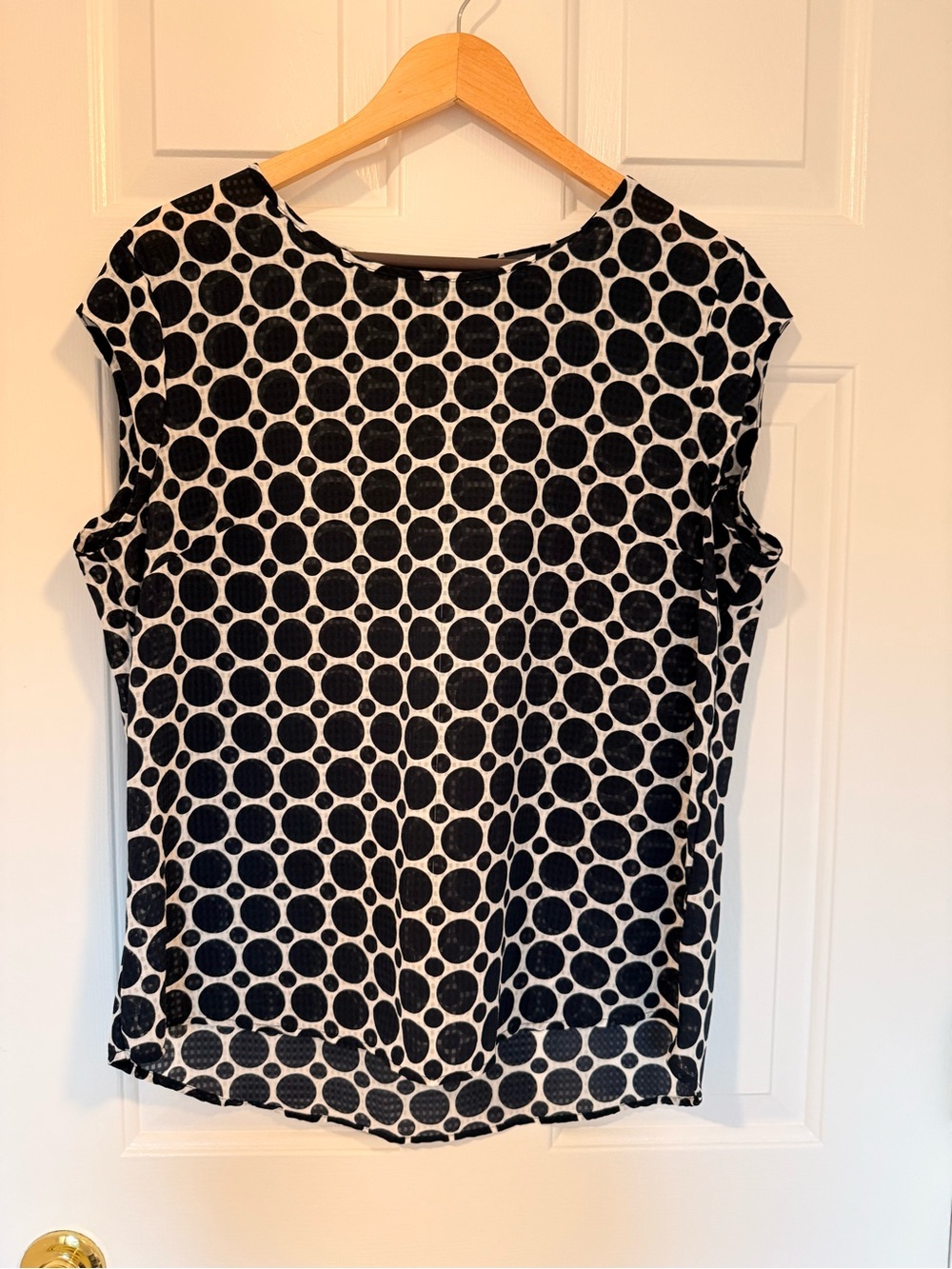 The Limited Navy & White Polka Dot Short Sleeve Top
